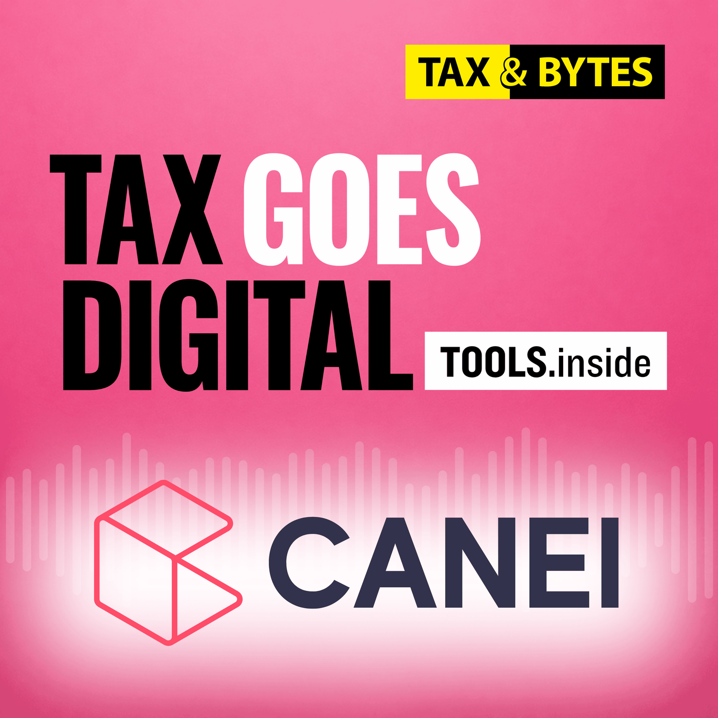 #2 – Finanzplanung mit CANEI: So wird betriebswirtschaftliche Beratung skalierbar