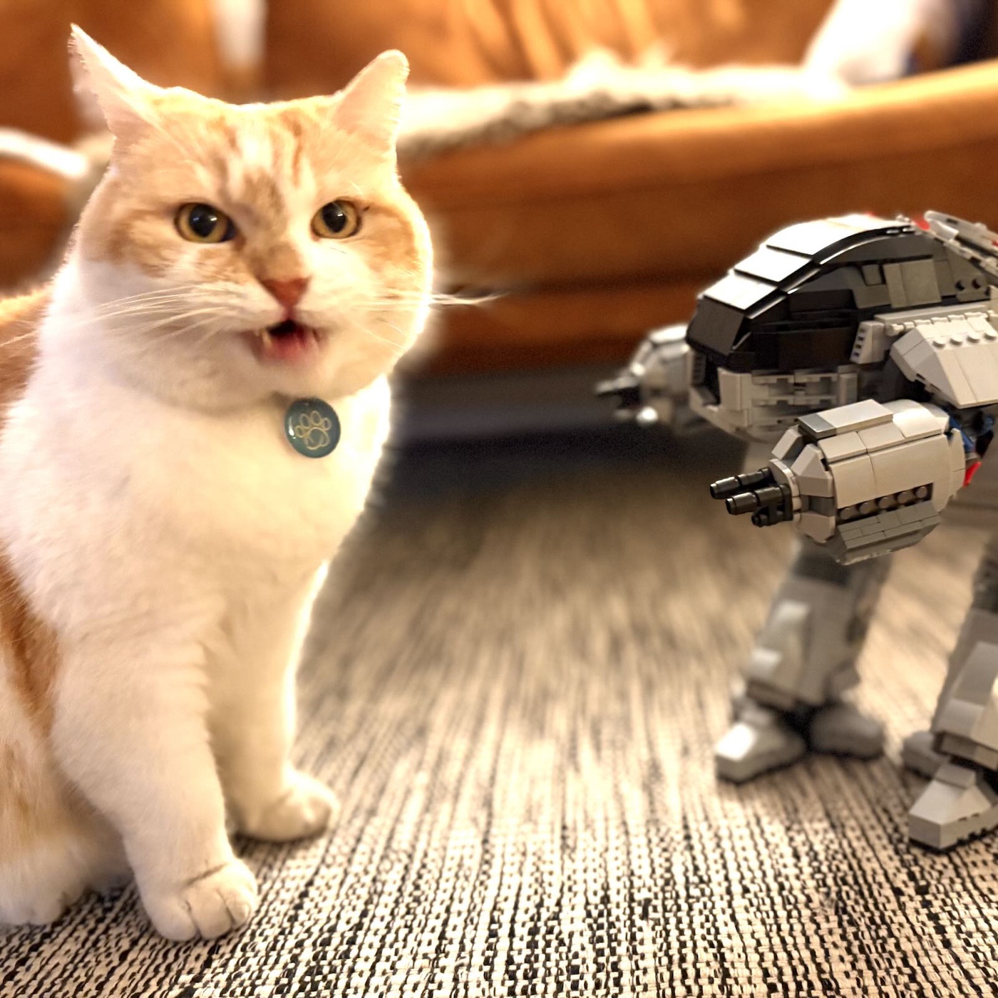 Paul Verhoeven – Teil 1 (1971-1977) 