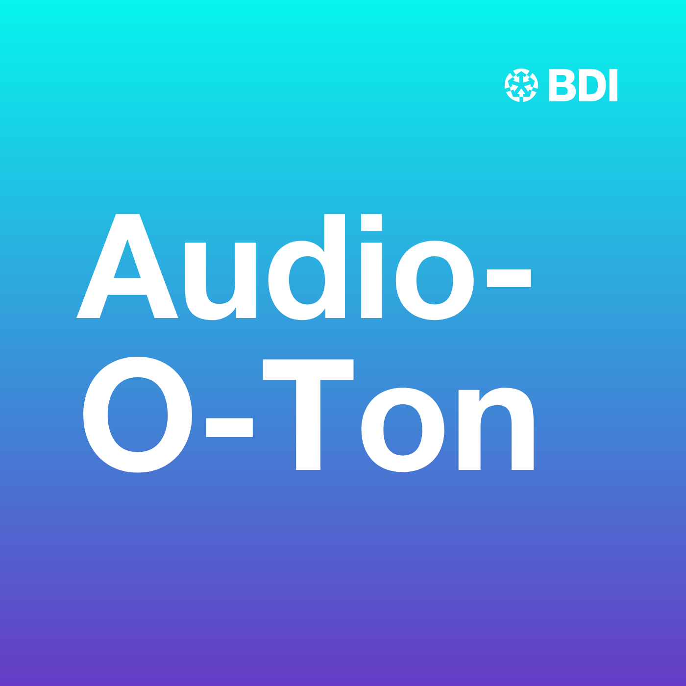 BDI Presse-O-Töne