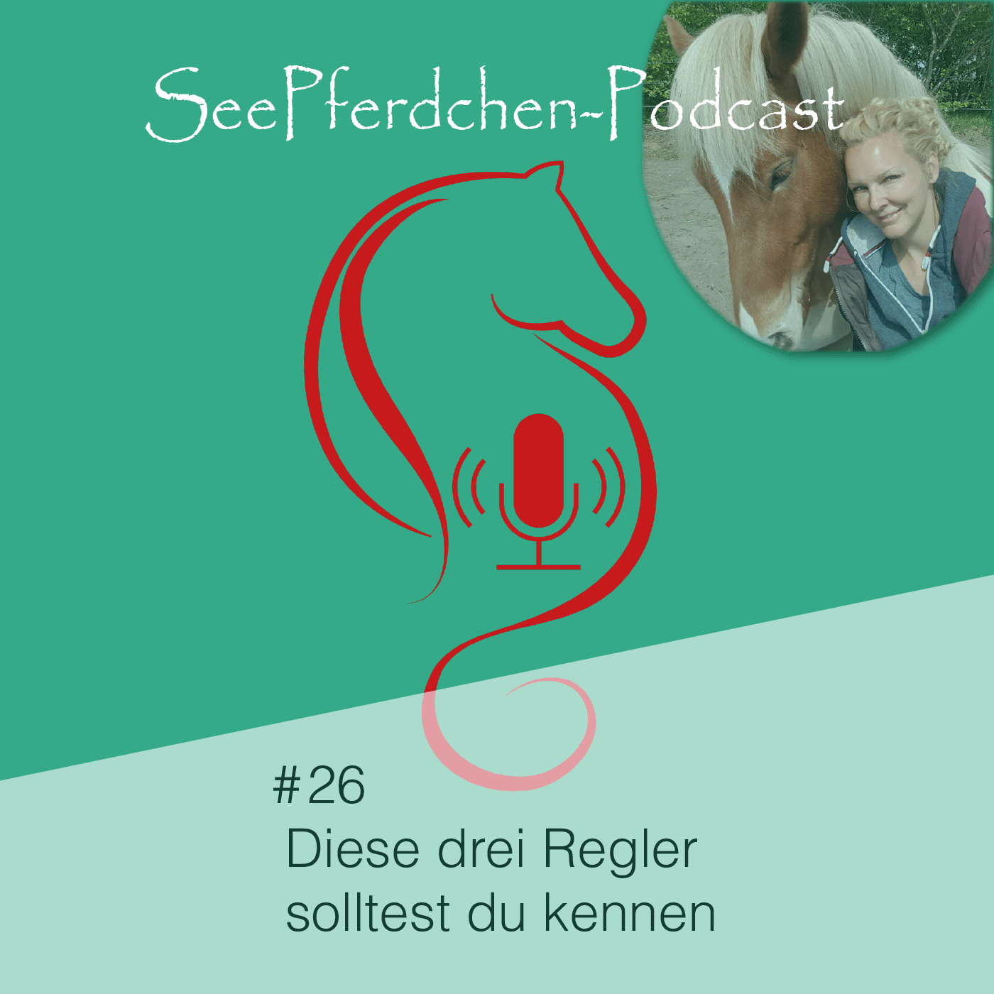 #26 | Diese drei Regler solltest du kennen