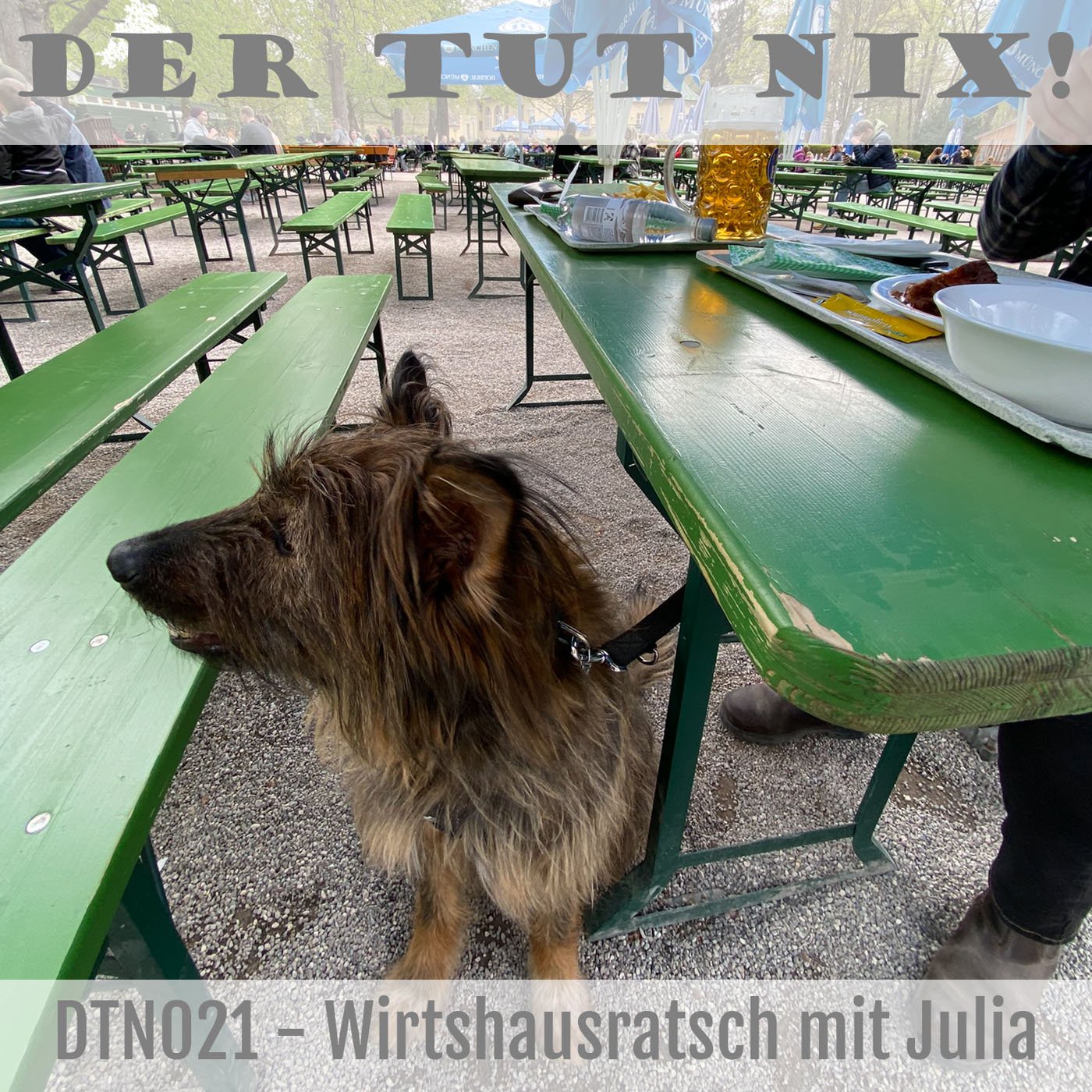 DTN021 - Wirtshausratsch mit Julia