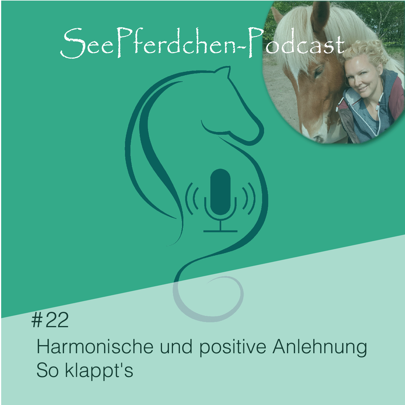 #22 | Harmonische und positive Anlehnung, so klappt's!