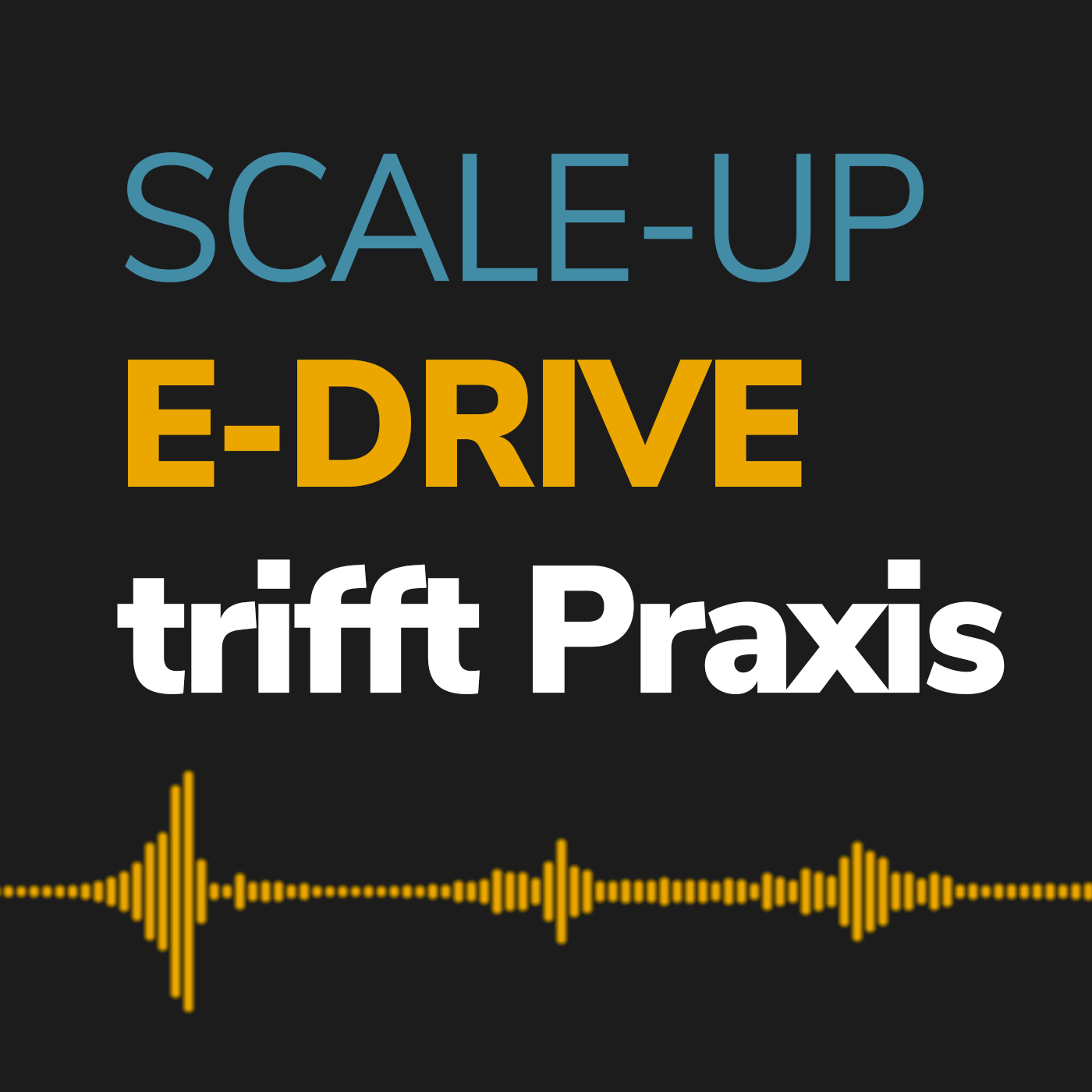 Scale-up E-Drive trifft Praxis - Intro