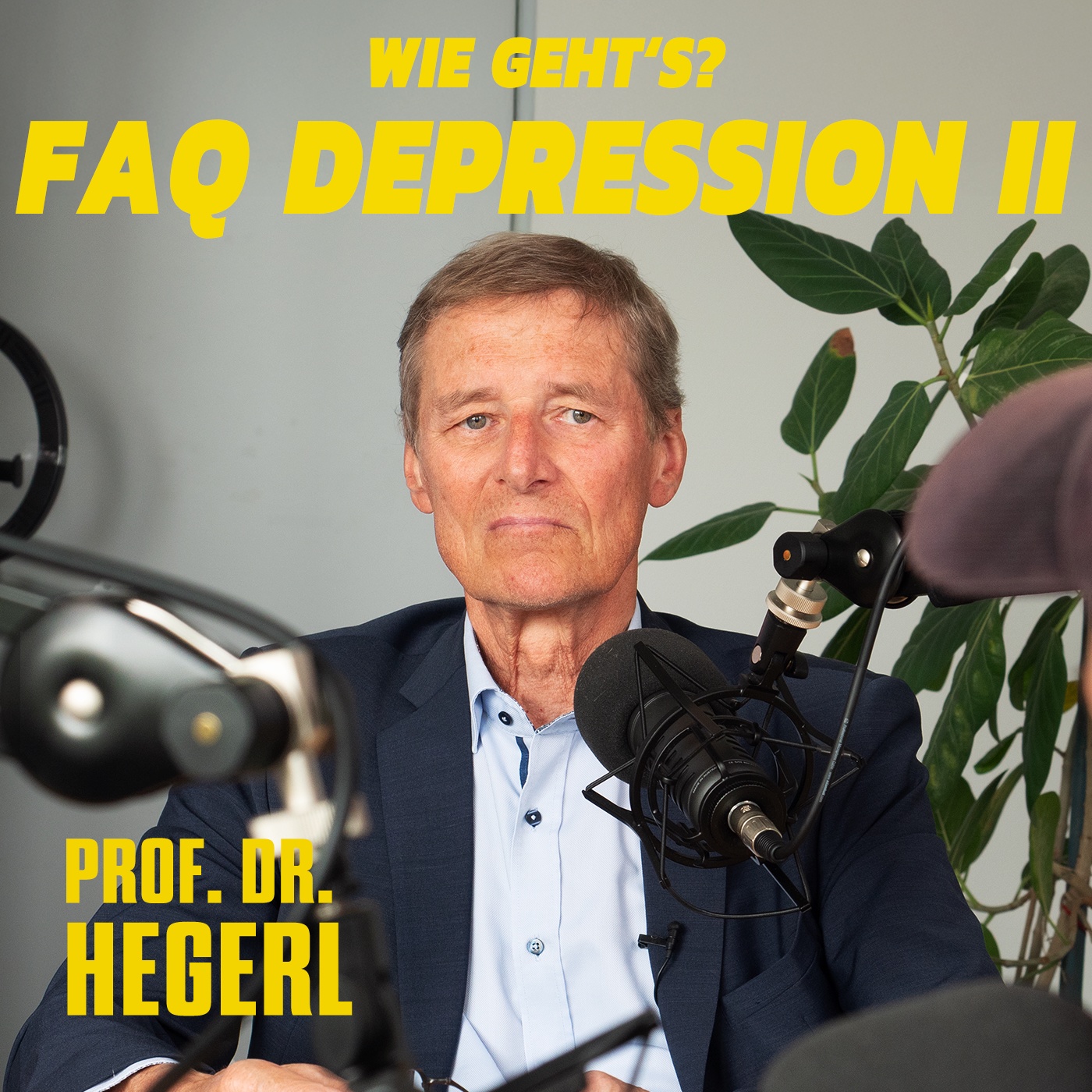 FAQ Depression mit Prof. Dr. Hegerl - Sonderfolge 2