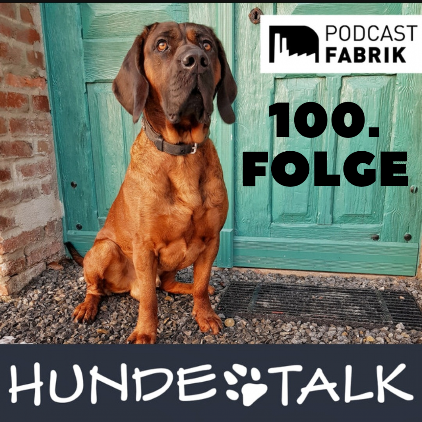 Die 100. Folge vom Hundetalk