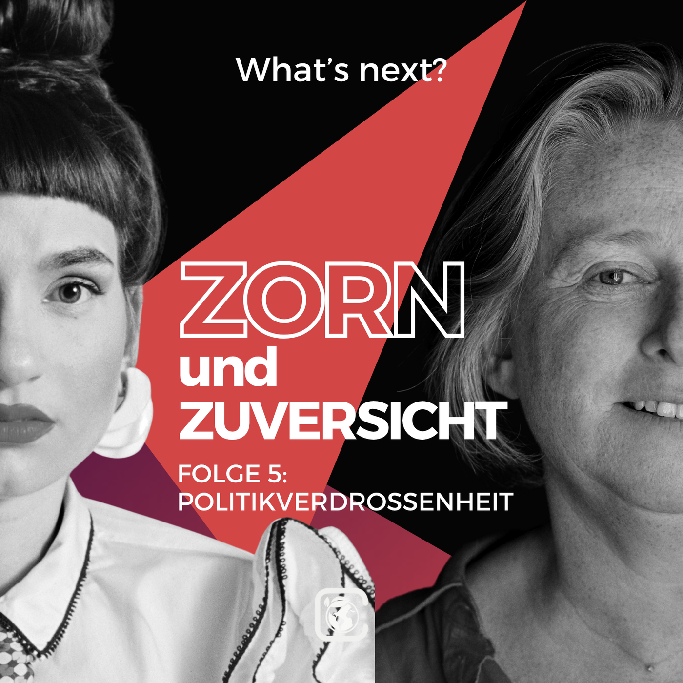 Politikverdrossenheit mit Anna Buchegger #5