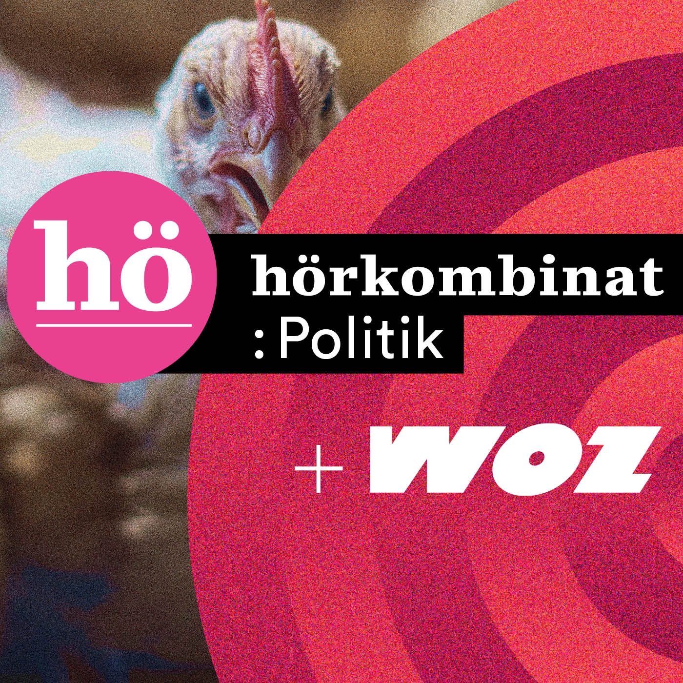 #122: Chicken Run – Die Ökonomie hinter dem Pouletboom