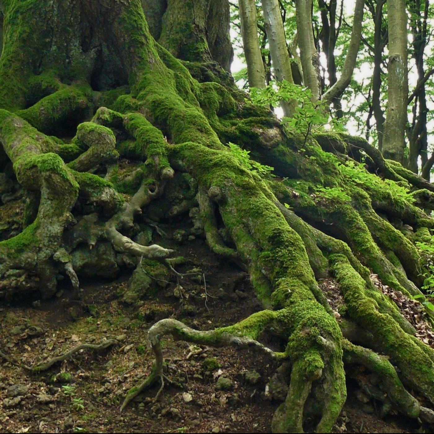 Mein Platz in der Erde