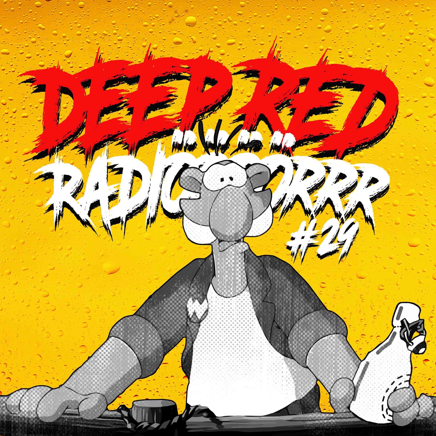 DRR SHOW 29