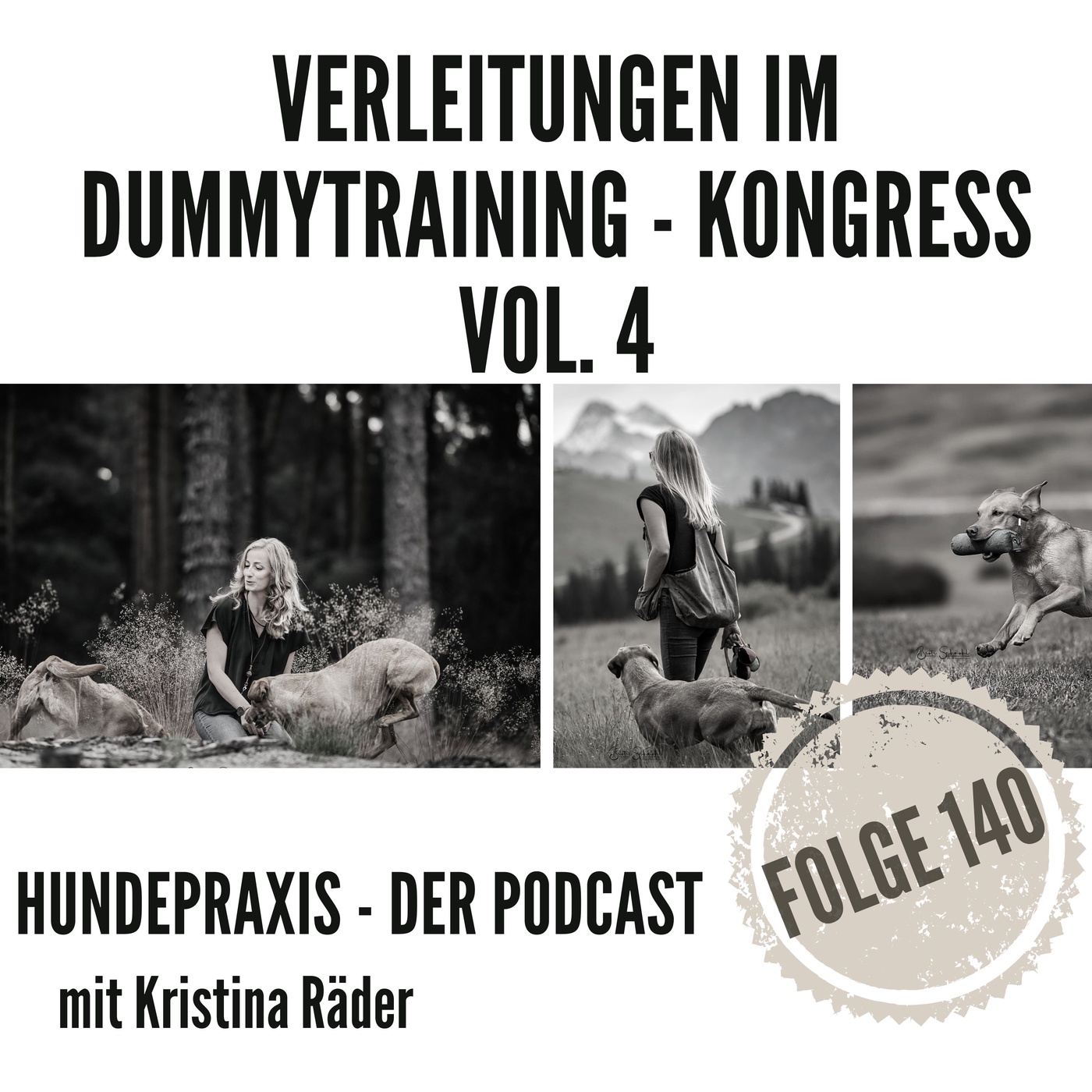 Verleitungen im Dummytraining - Dummytraining Onlinekongress Vol.4