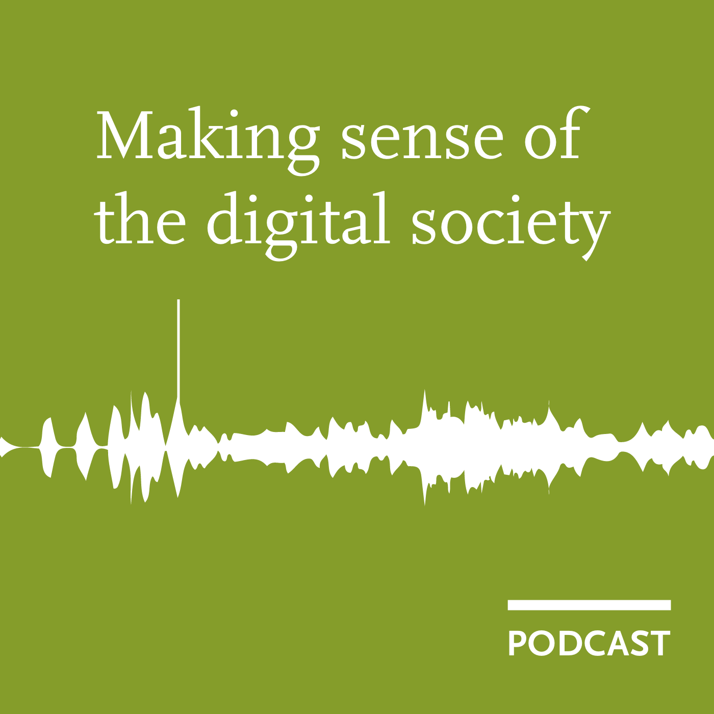Making sense of the digital society 