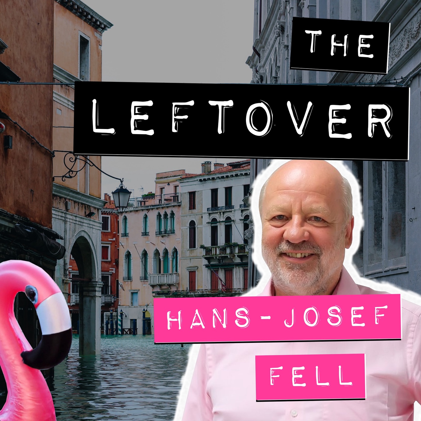 Episode 8: Hans-Josef Fell 2