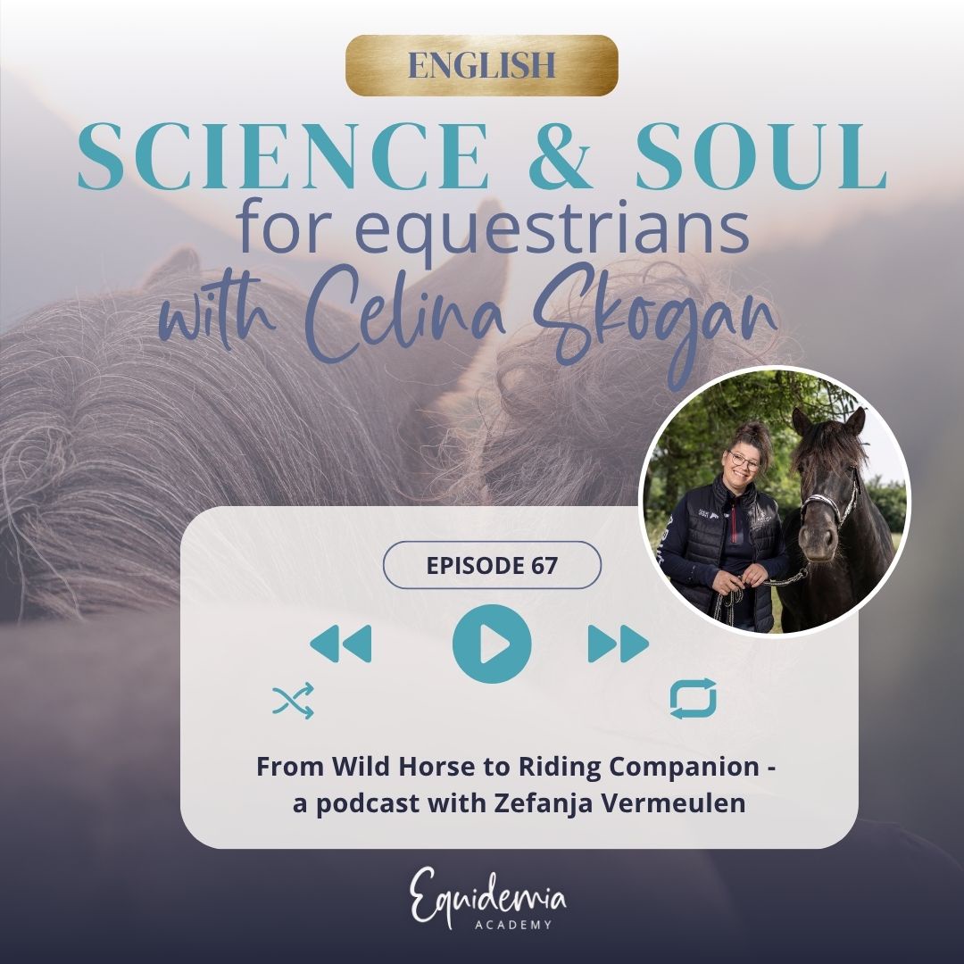 From Wild Horse to Riding Companion - a podcast with Zefanja Vermeulen