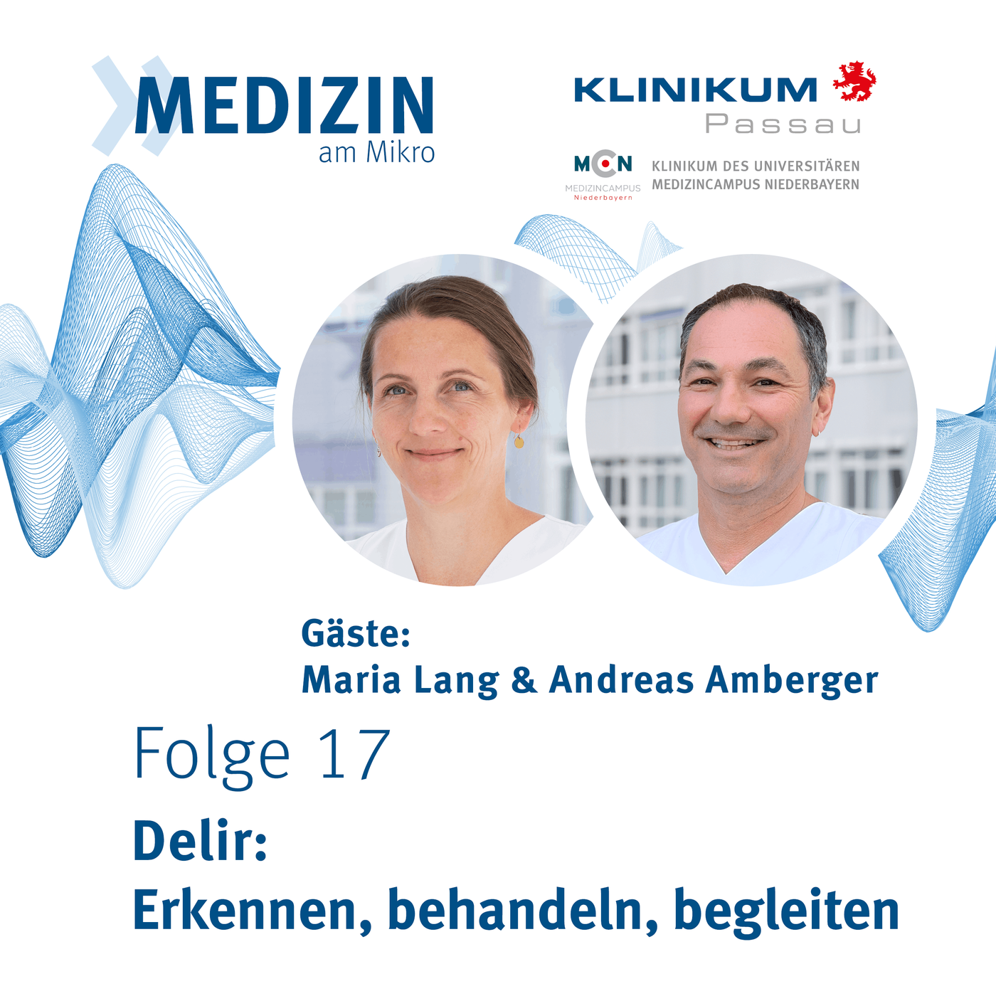 Delir: Erkennen, behandeln, begleiten