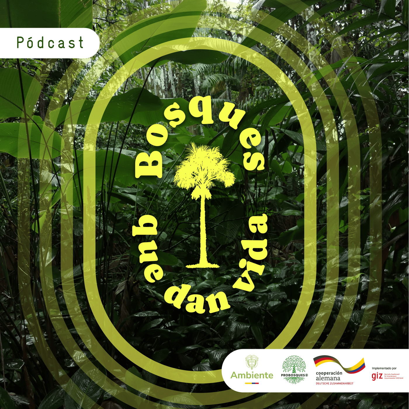 CABEZOTE BOSQUES QUE DAN VIDA