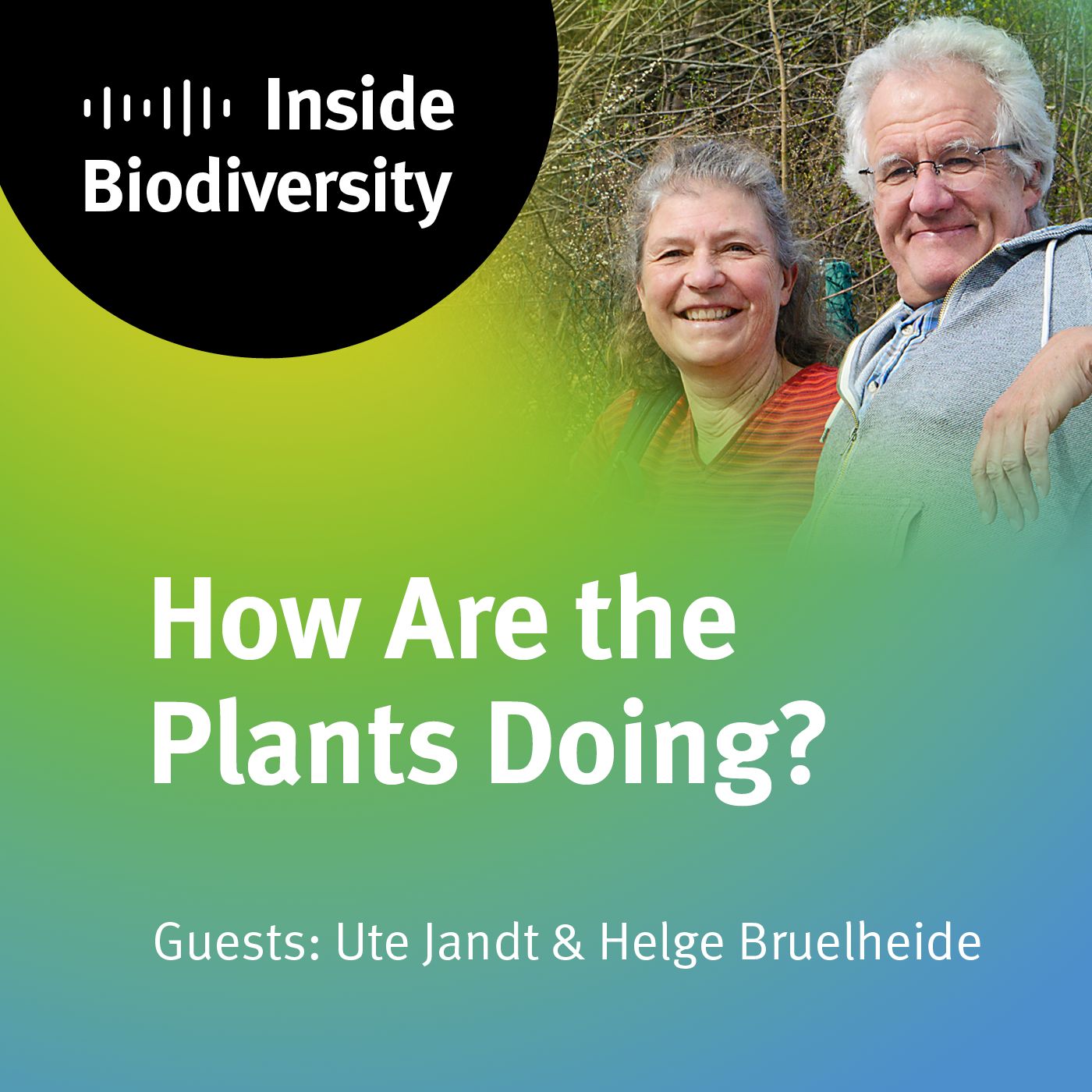 How Are the Plants Doing?