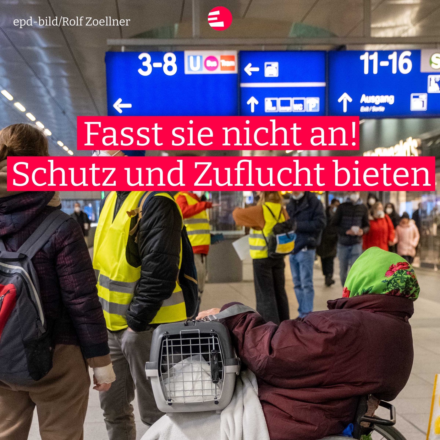 Fasst sie nicht an! - Schutz und Zuflucht bieten