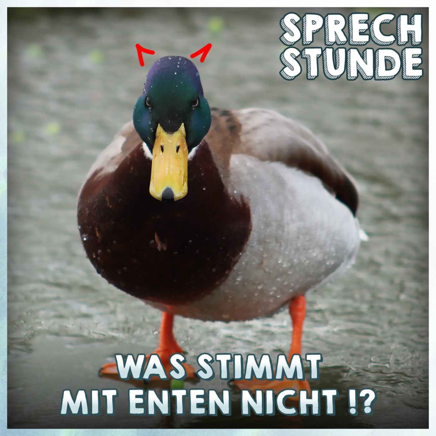 Was stimmt eigentlich mit Enten nicht!?