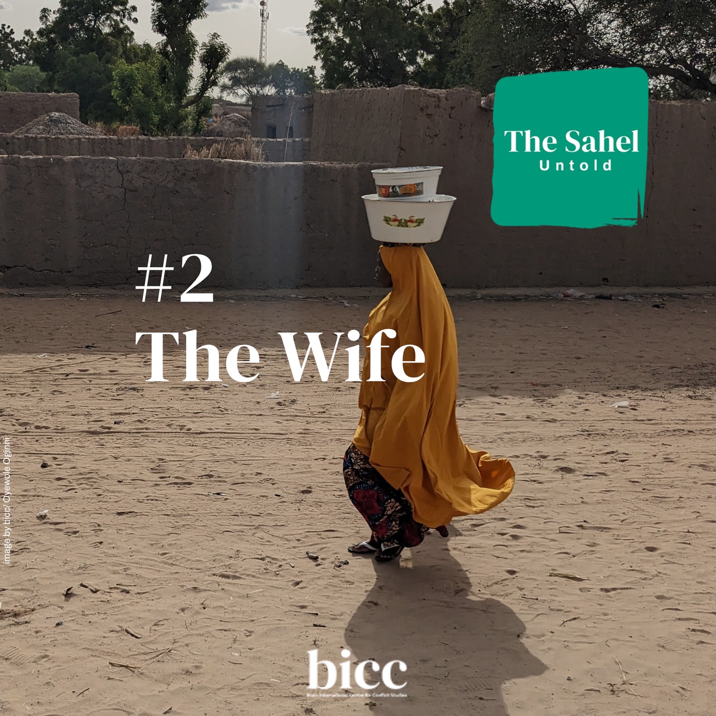 The Wife