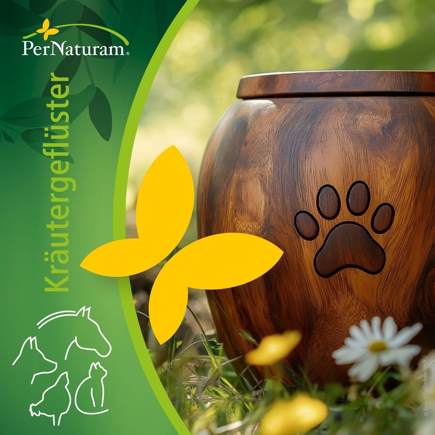 Letzte Wege gemeinsam gehen: Sterbebegleitung und Tierbestattung