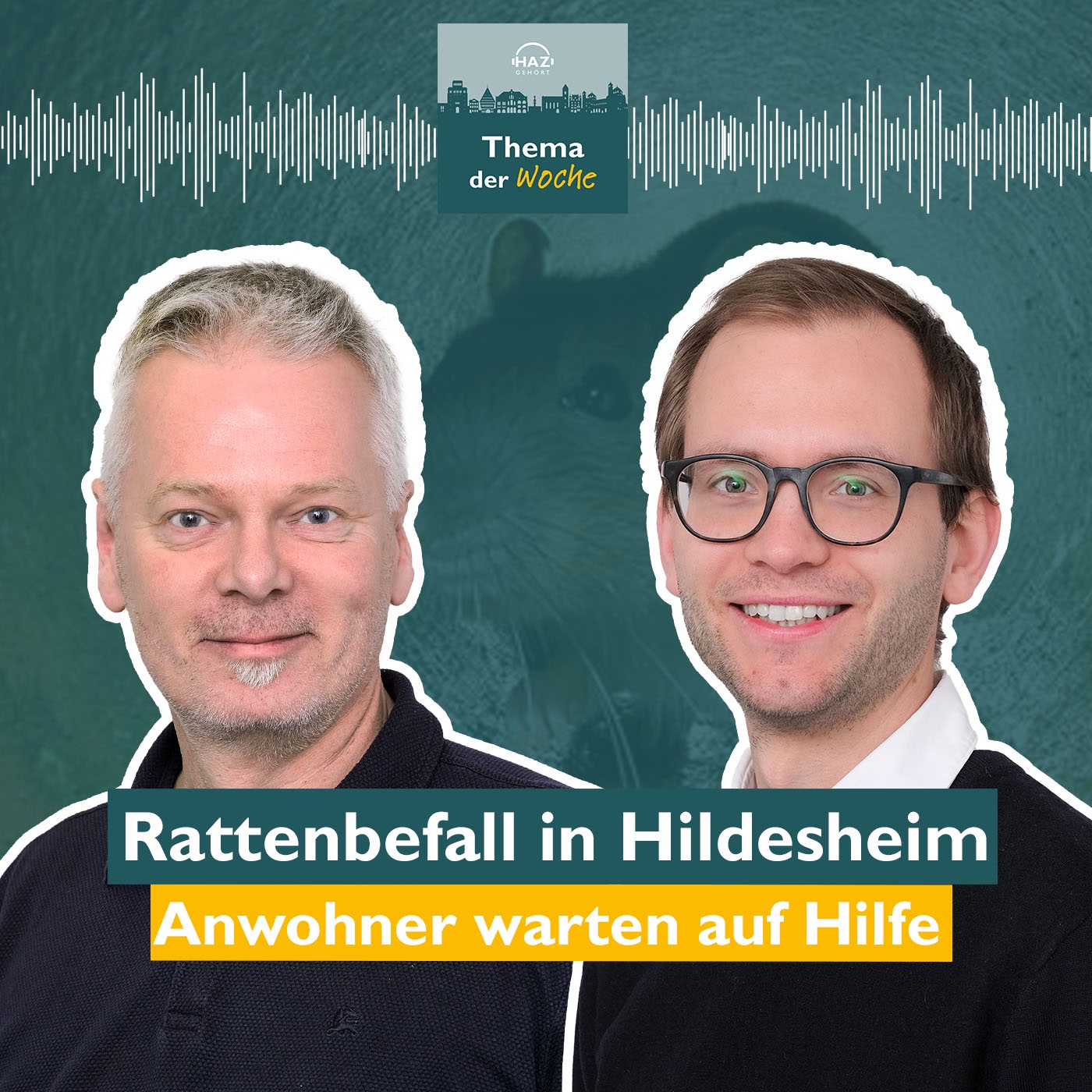 TdW: Rattenbefall im Stadtfeld