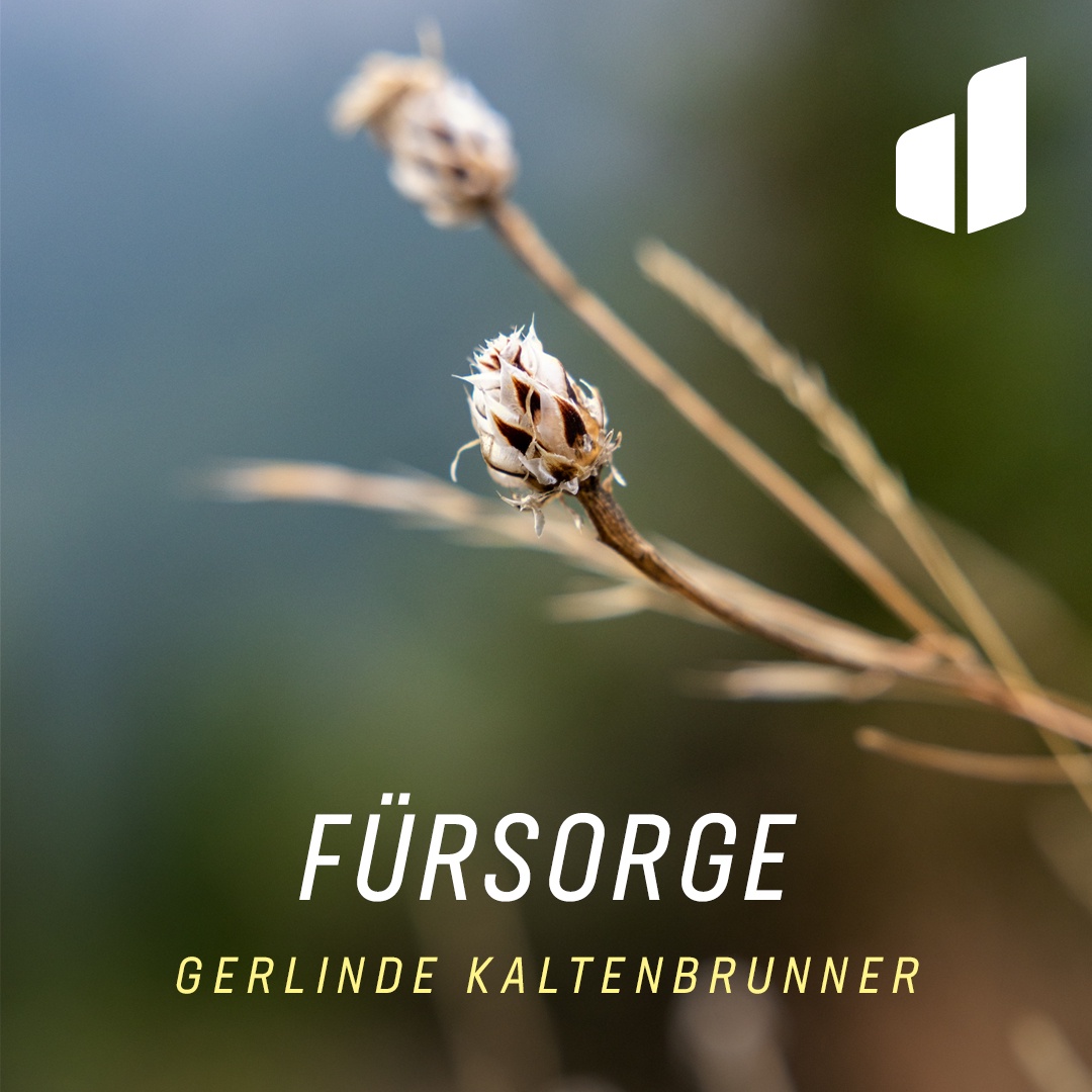 2. Tag: Das eigene Leben positiv beeinflussen