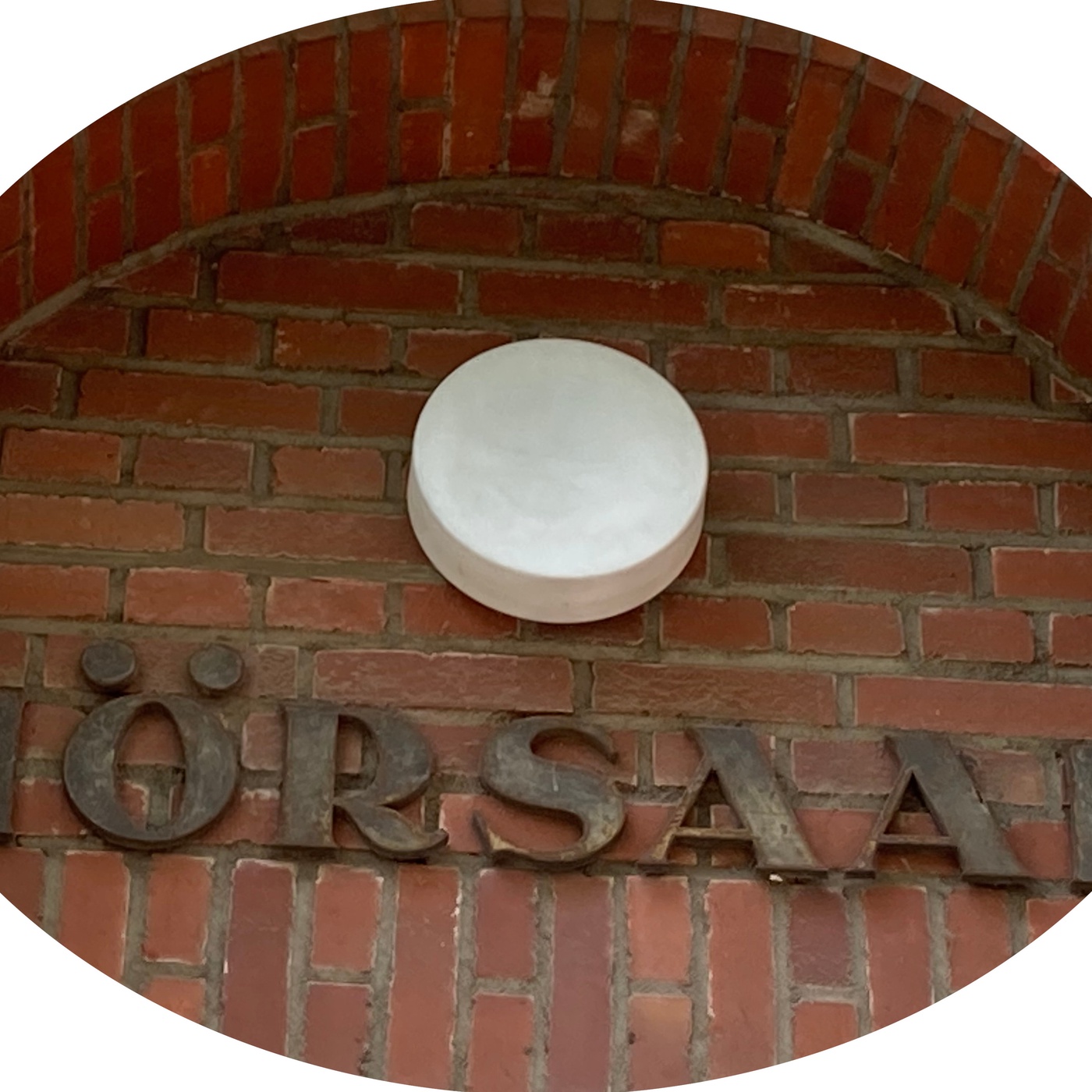 Vom Wachsaal in den Hörsaal