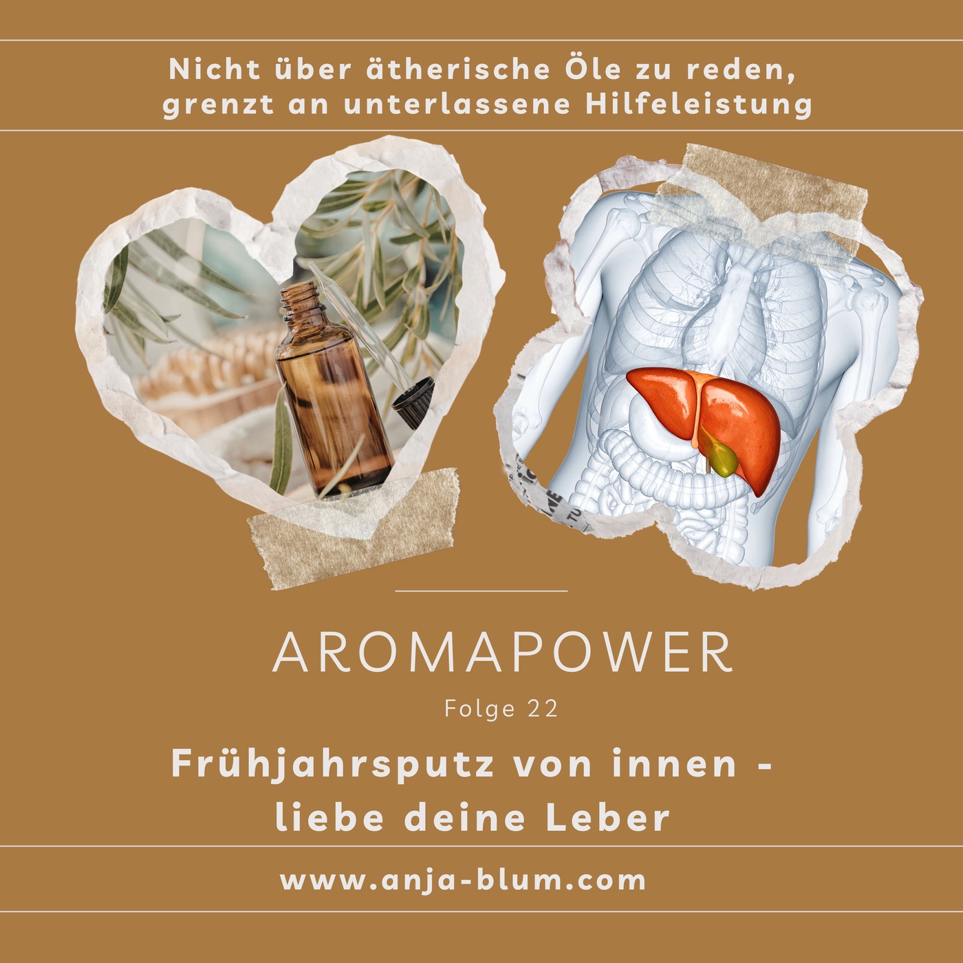 Frühjahrsputz von innen