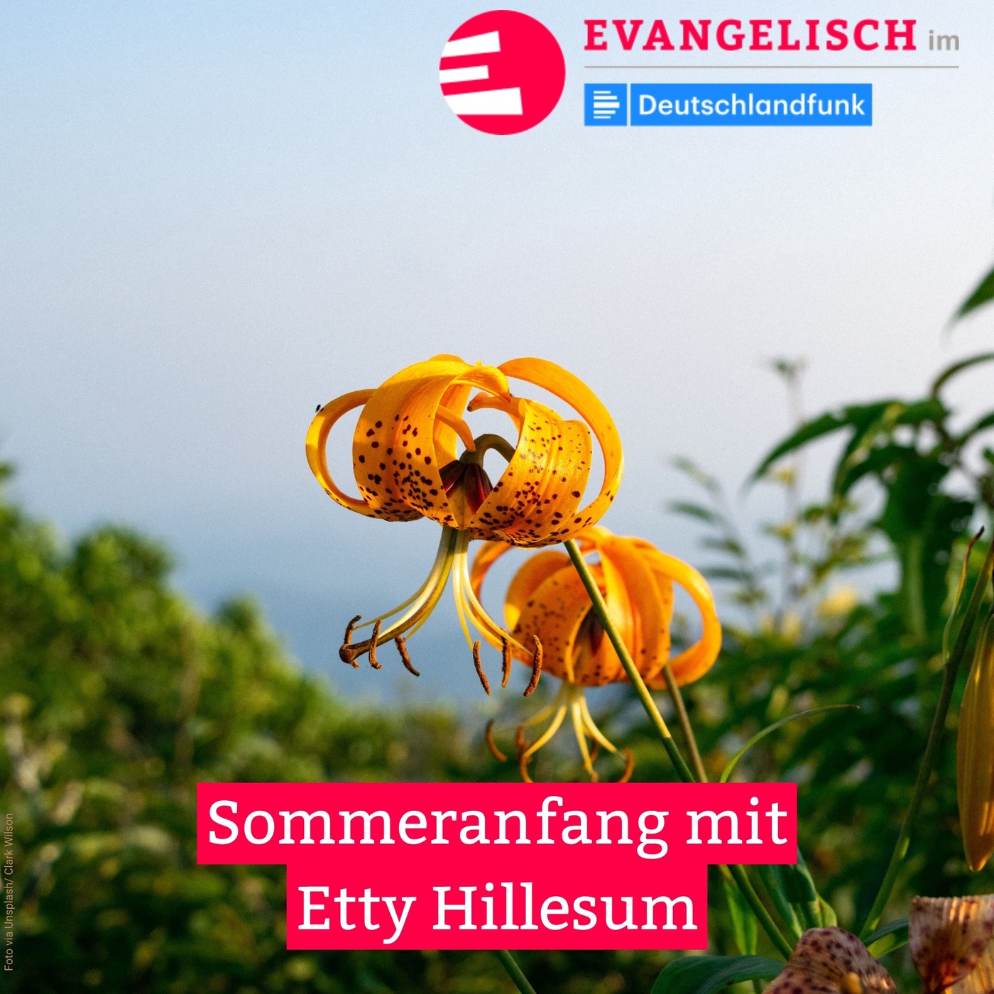 Sommeranfang mit Etty Hillesum