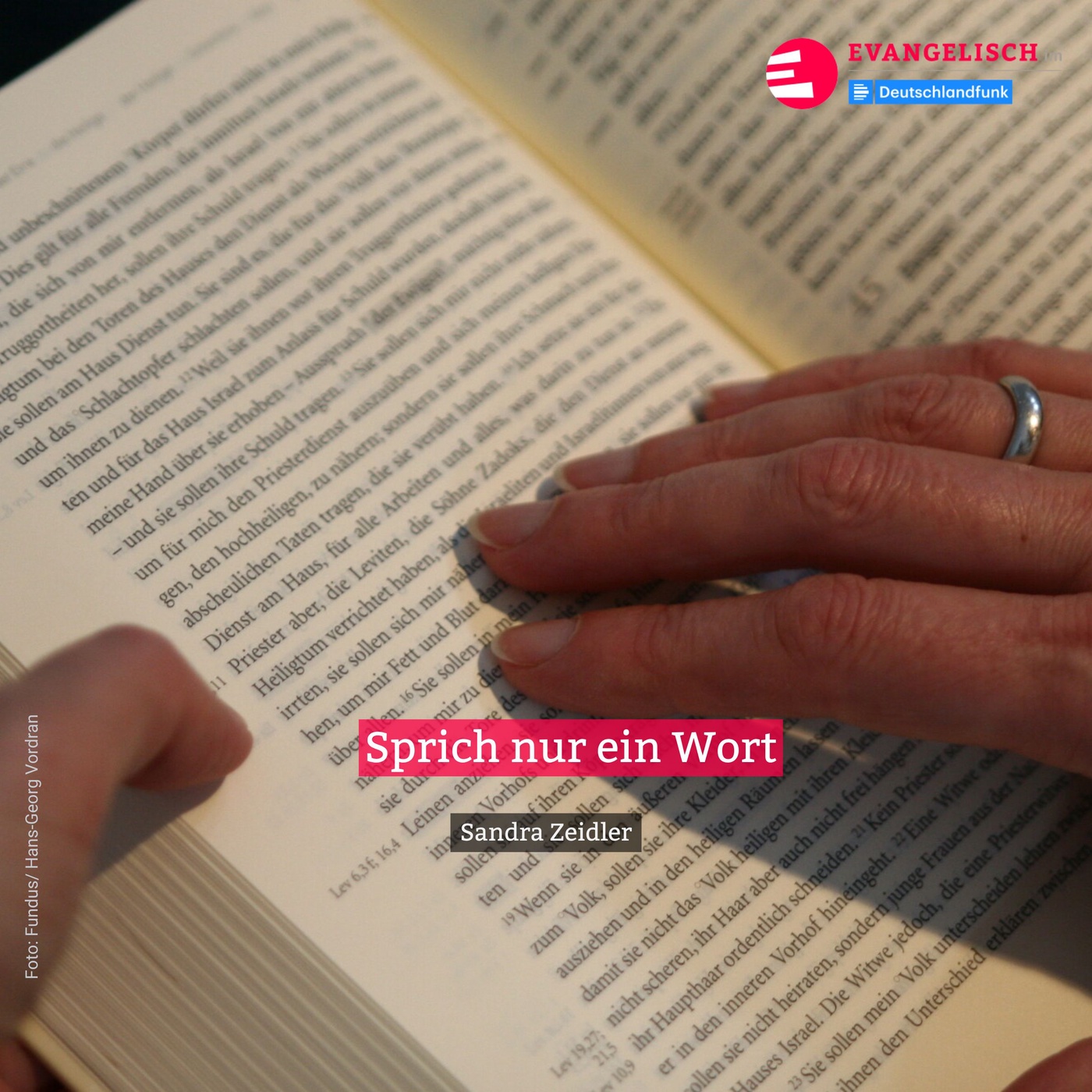 Sprich nur ein Wort!