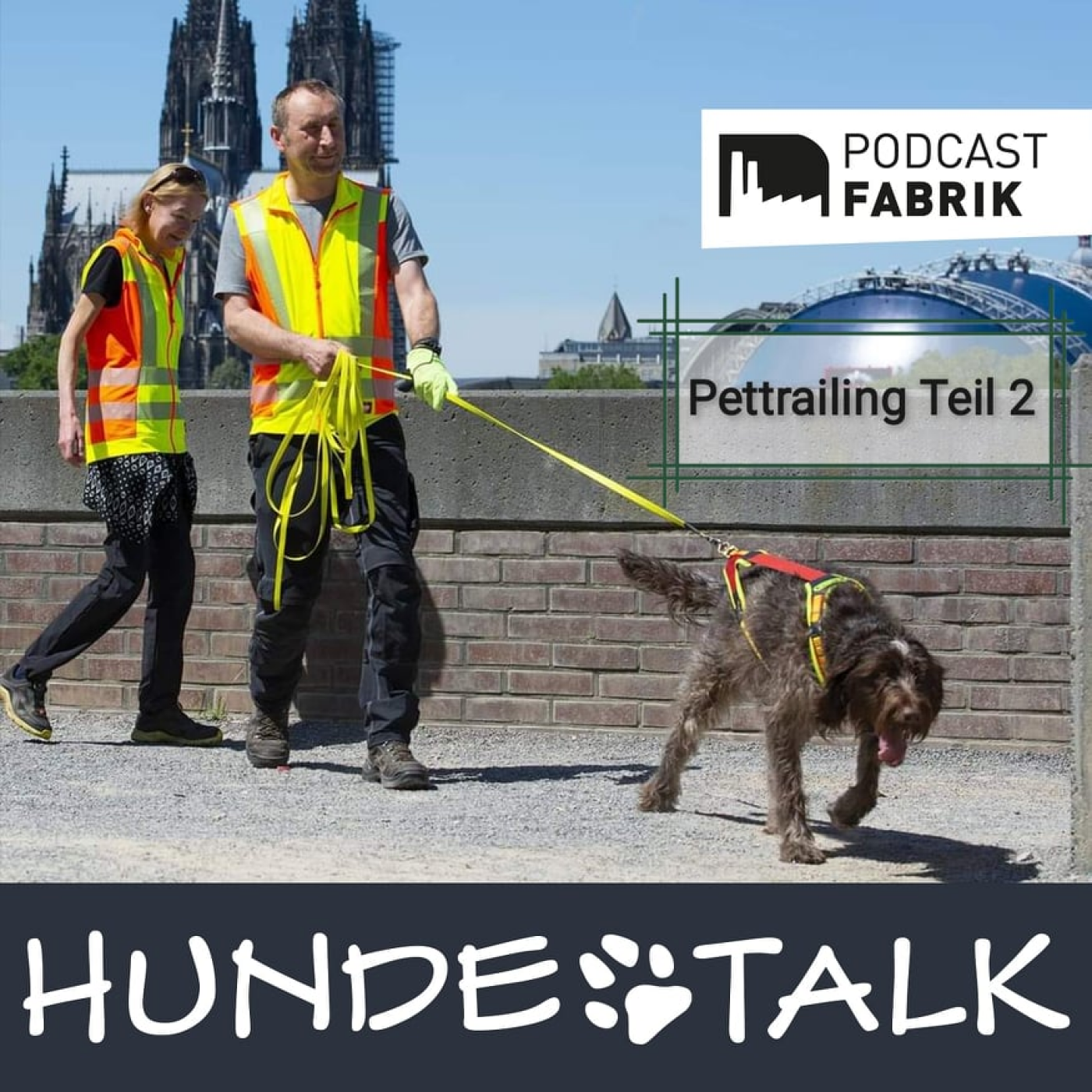 Hunde mit Job - Pettrailing Teil 2