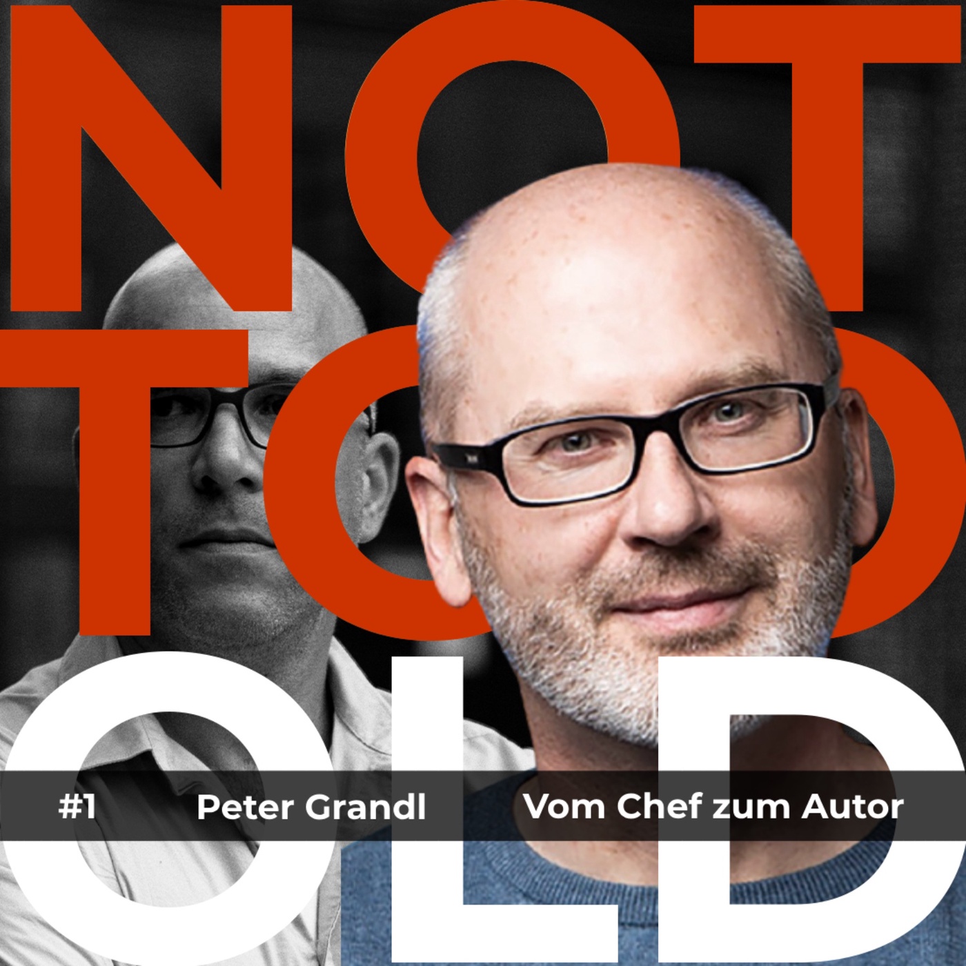 #1 Agenturchef wird Autor - Peter Grandl