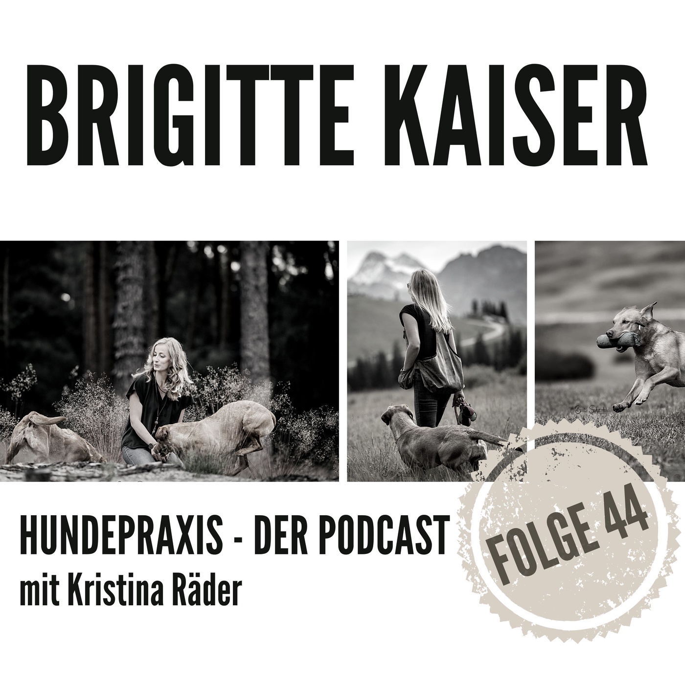 Lawinenspürhund Sport vs. Einsatz - Brigitte Kaiser