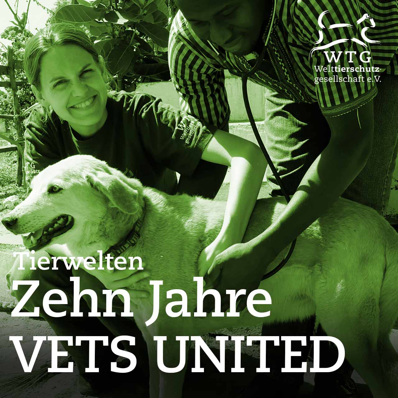 Zehn Jahre VETS UNITED
