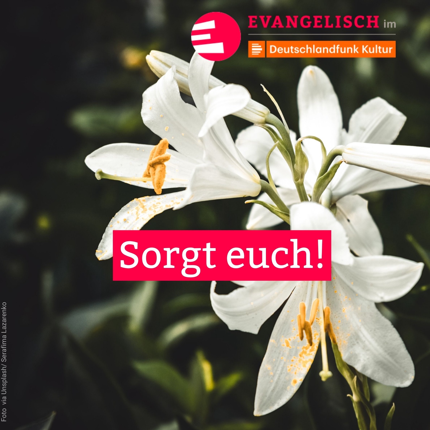 Sorgt euch!