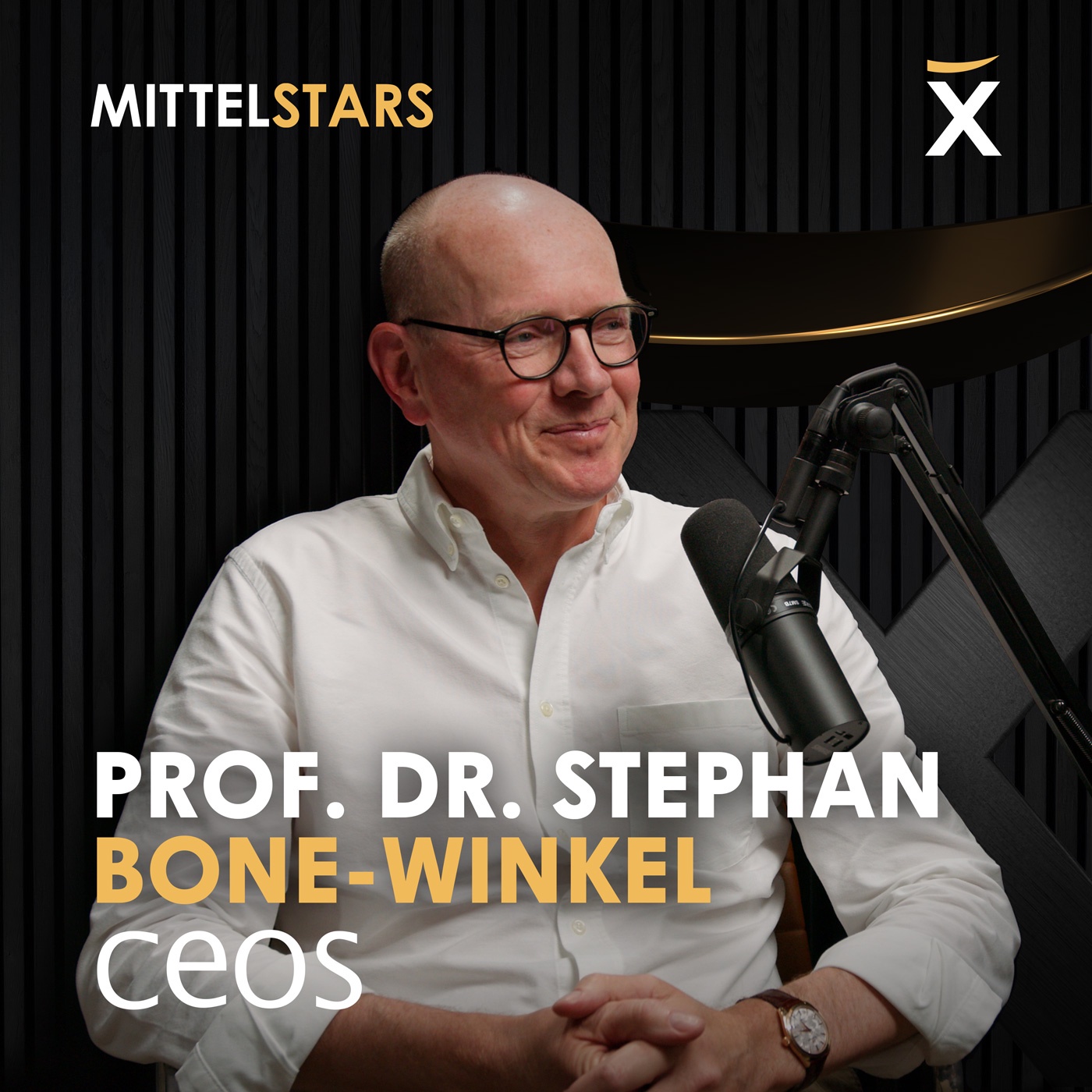 Vom Immobilienprofessor zu 4,5 Mrd. € Assets under Management | Dr. Stephan Bone-Winkel im Podcast