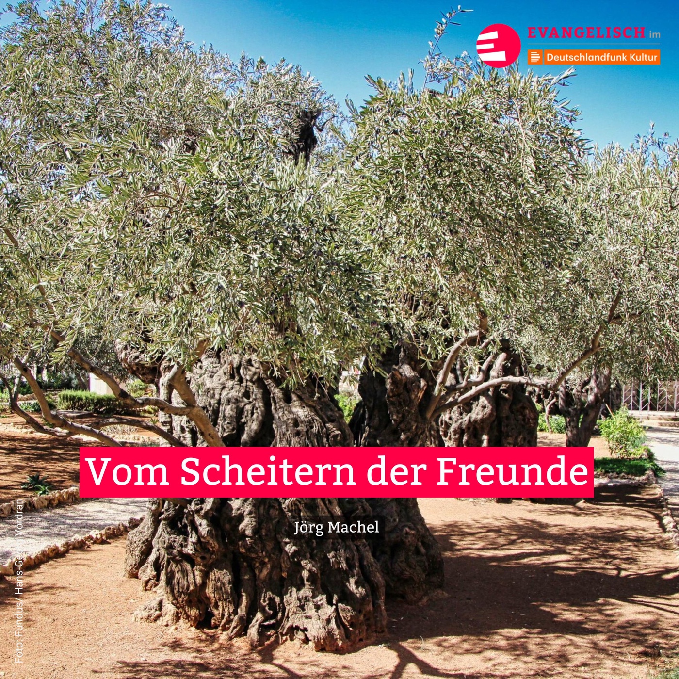 Vom Scheitern der Freunde