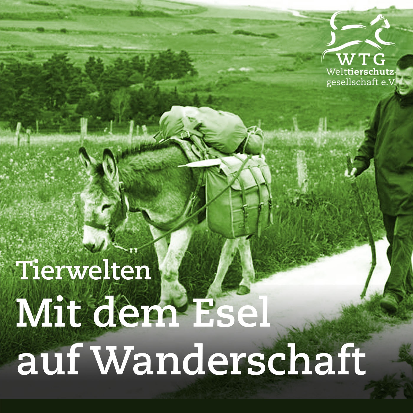 Mit dem Esel auf Wanderschaft - Interview mit Erik Kormann