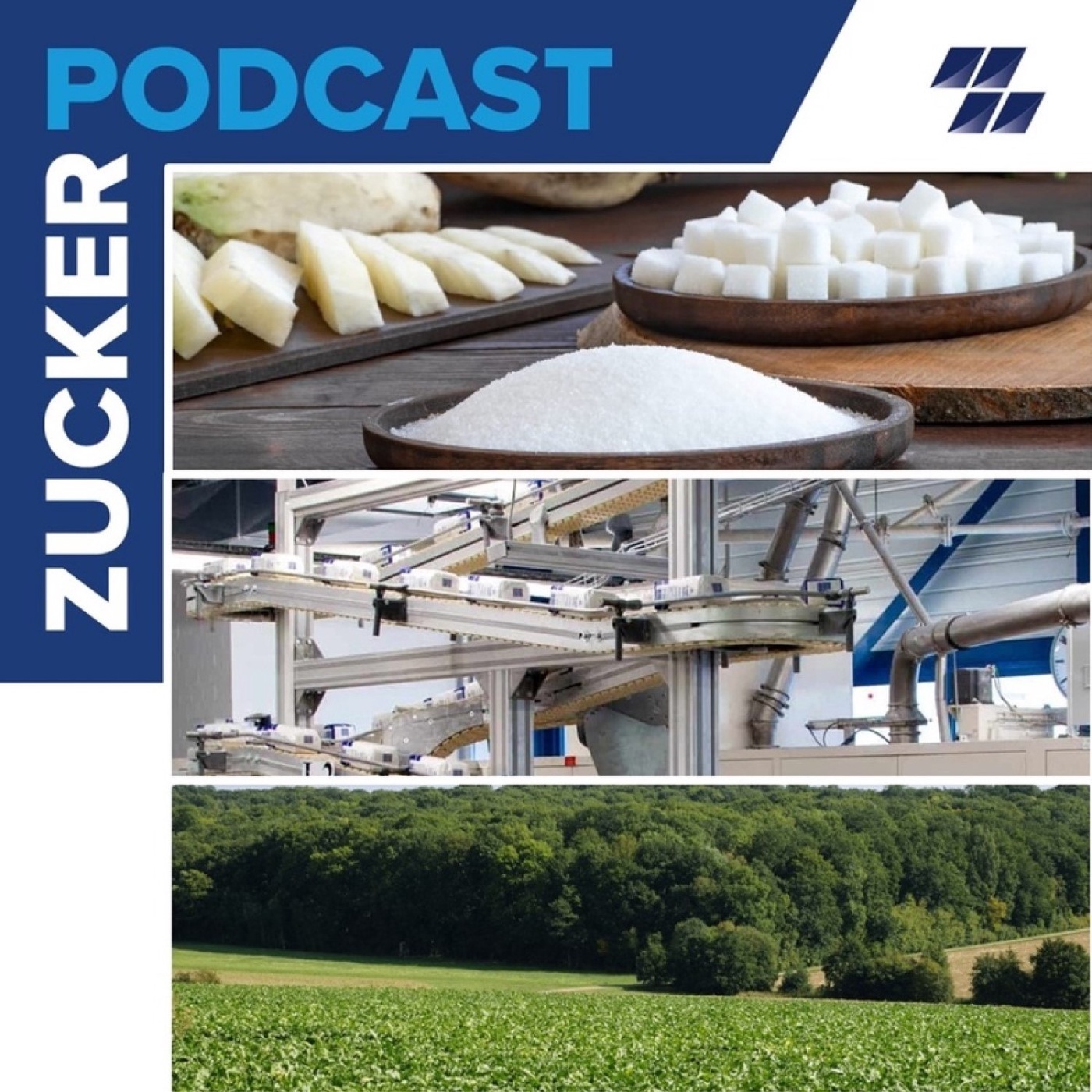 Zucker-Podcast