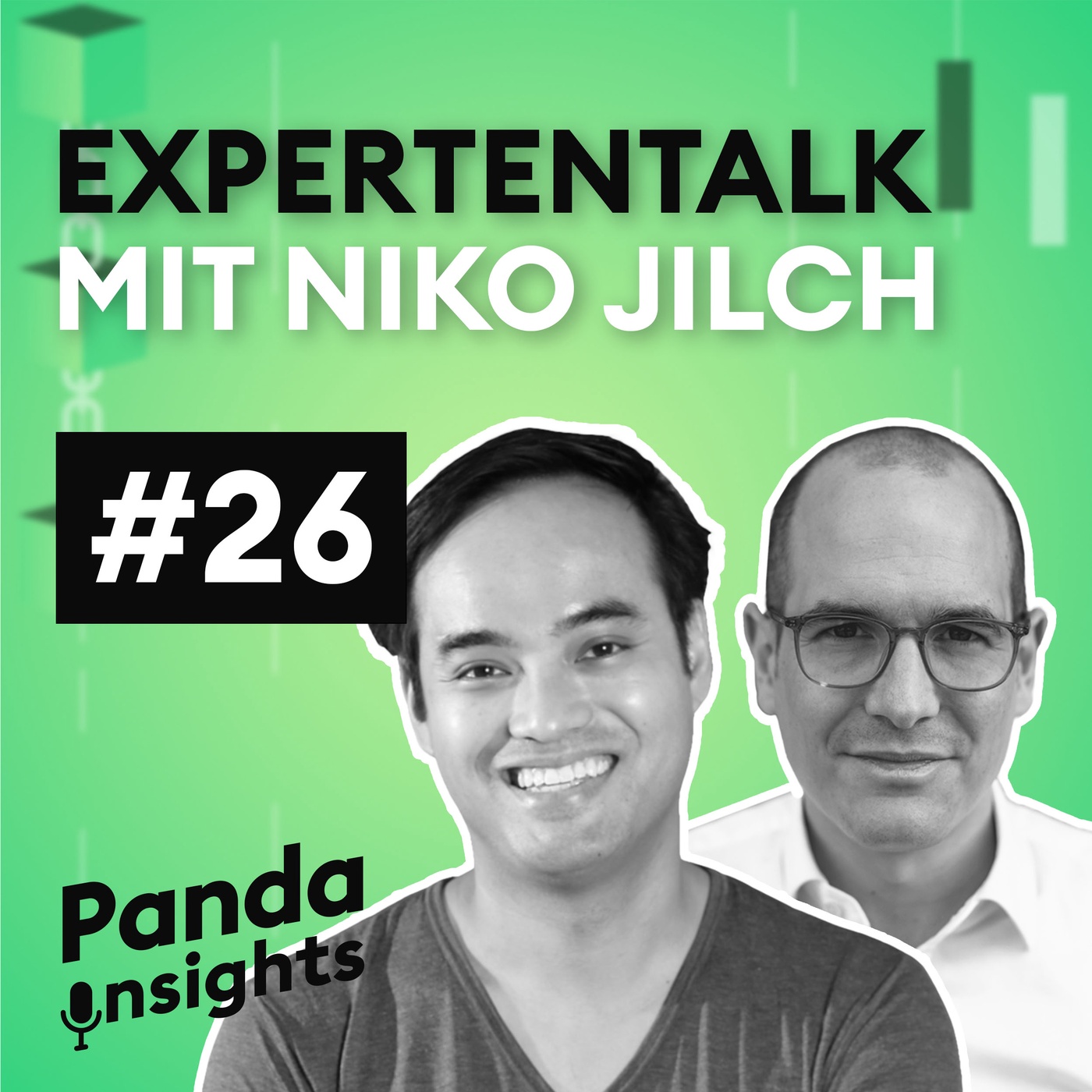 Experteninterview mit Niko Jilch