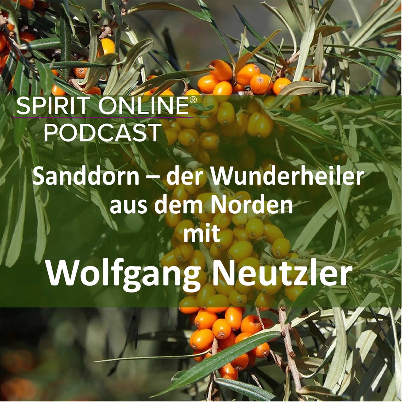 Sanddorn – der Wunderheiler aus dem Norden - mit Wolfgang Neutzler