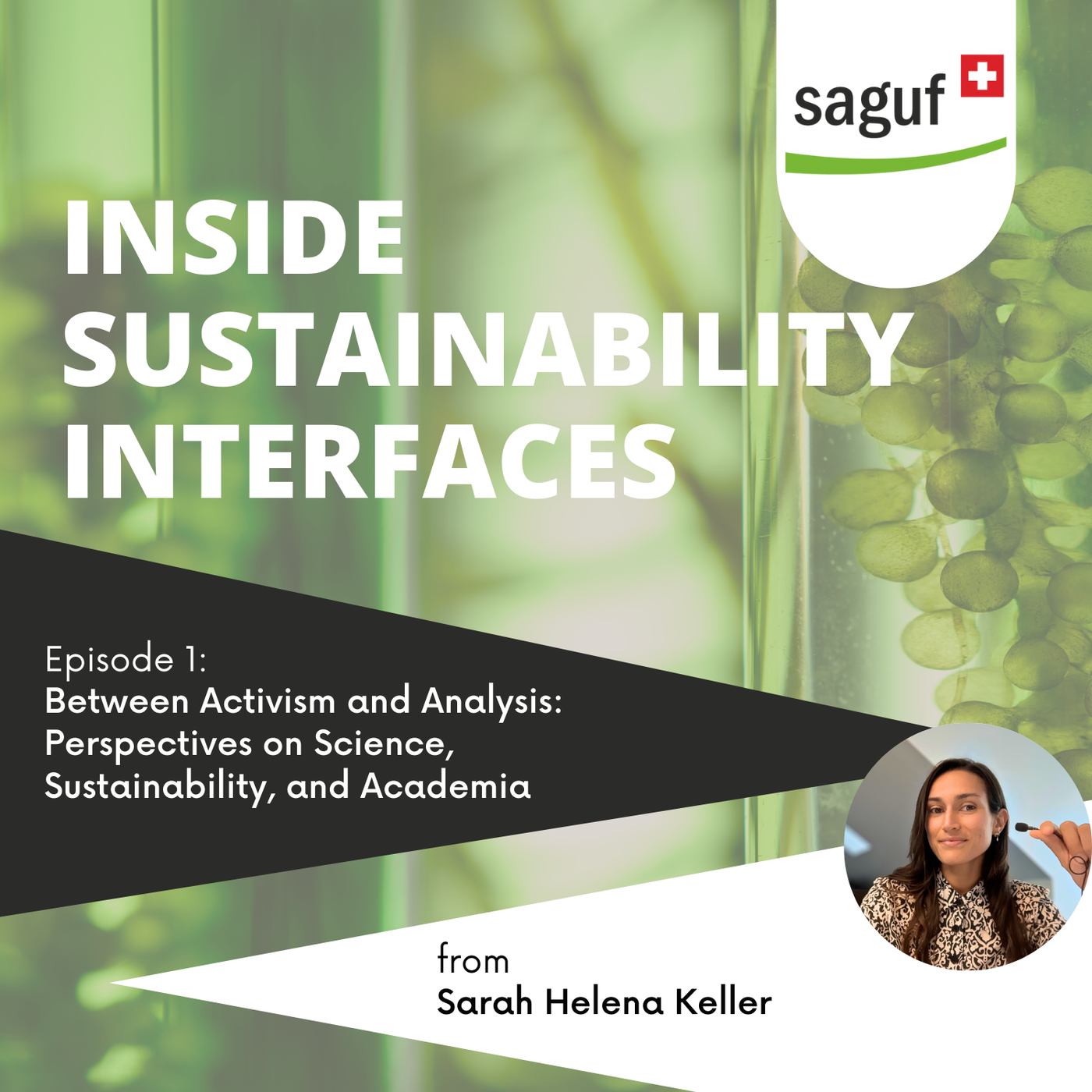 Between Activism and Analysis: Perspectives on Science, Sustainability, and Academia