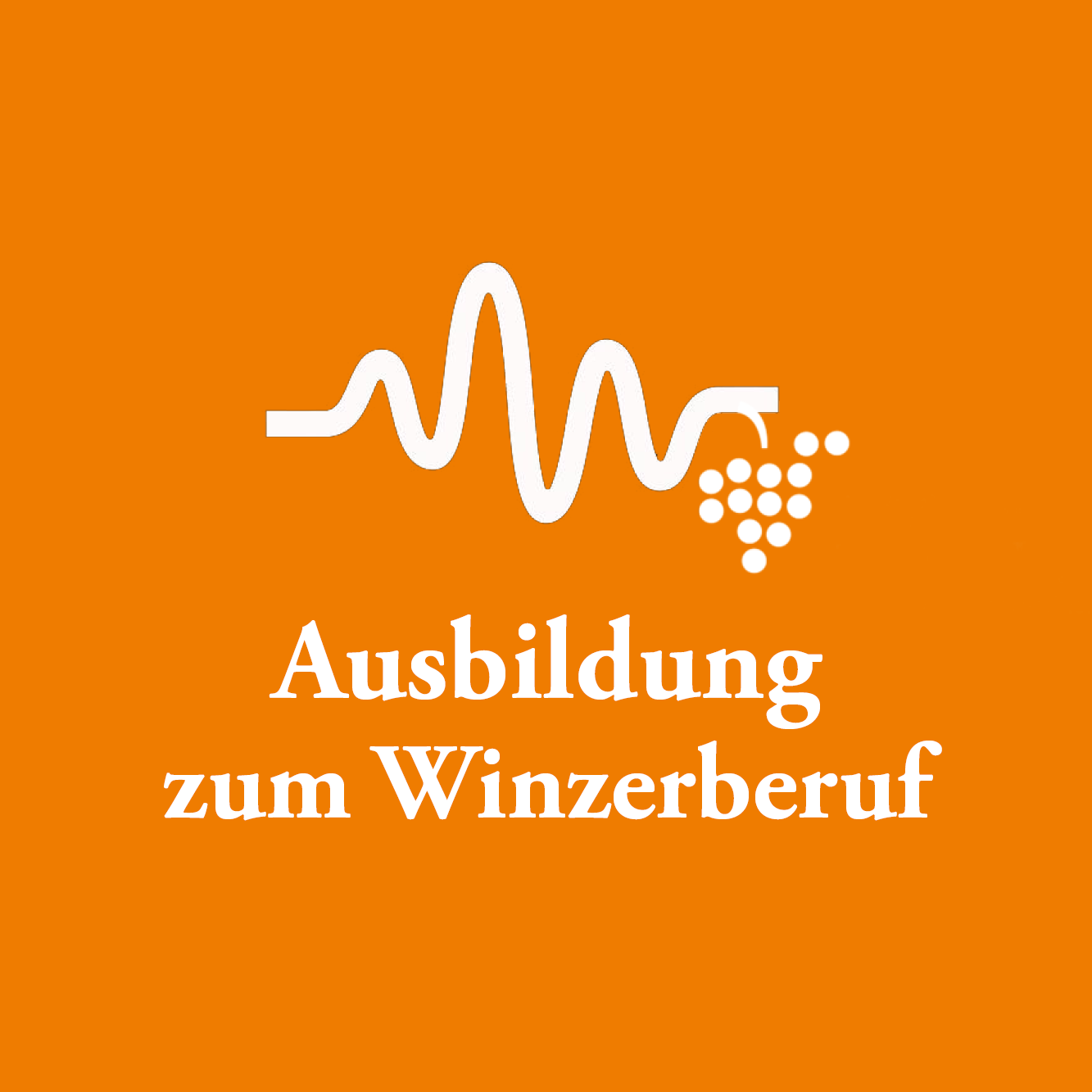 Ausbildung zum Winzer