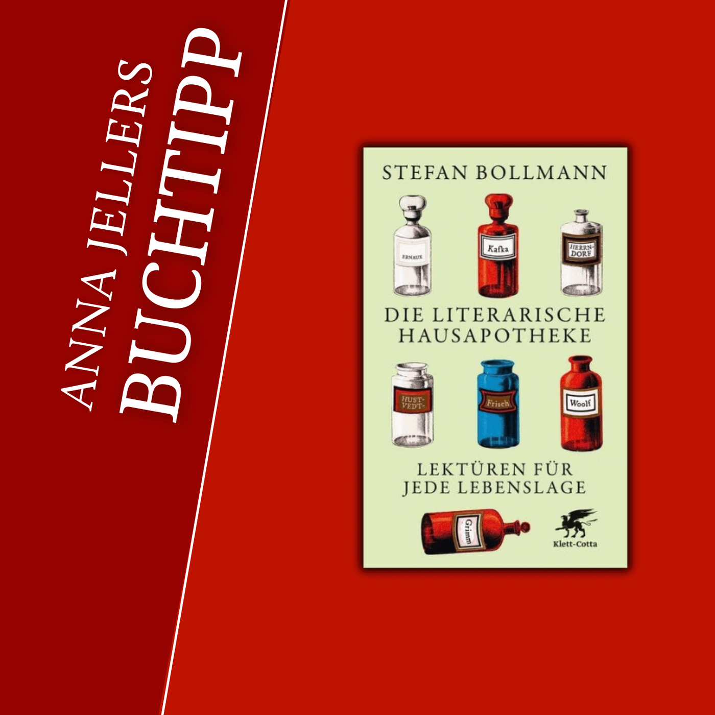 Anna Jellers Buchtipp | Stefan Bollmann: Die literarische Hausapotheke