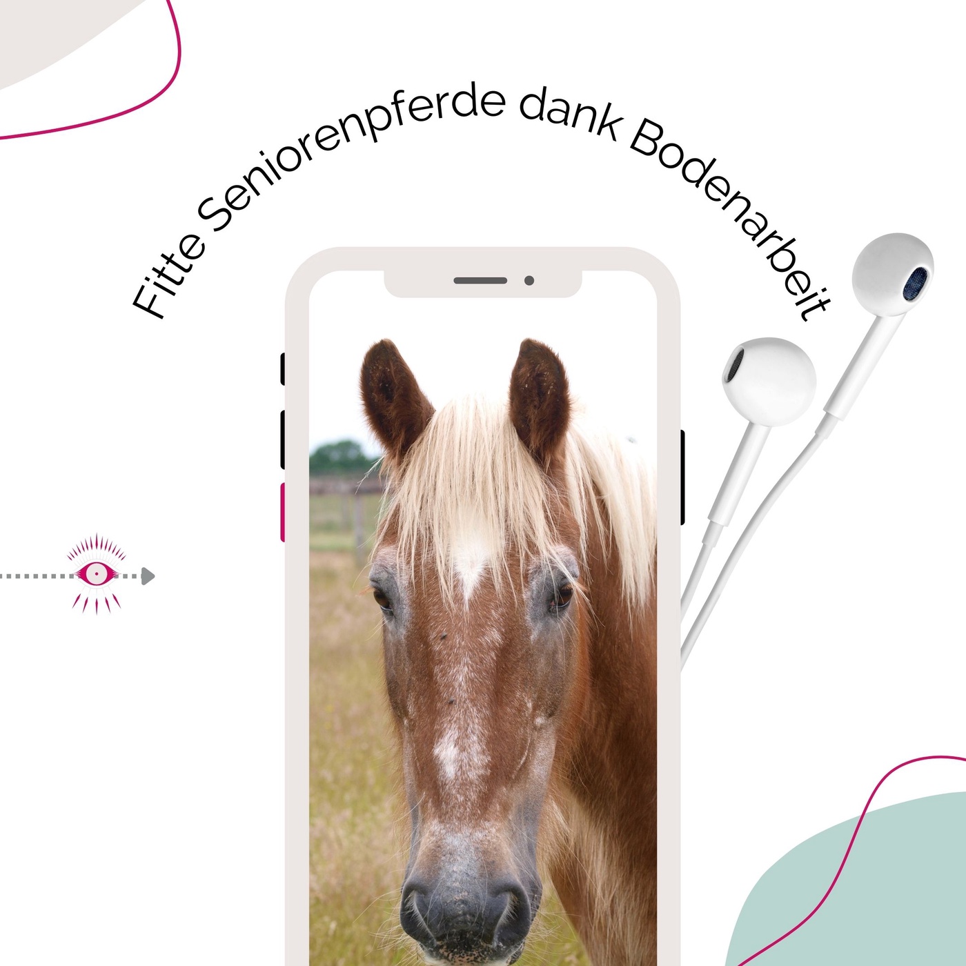 Trainingstipps für Pferdesenioren
