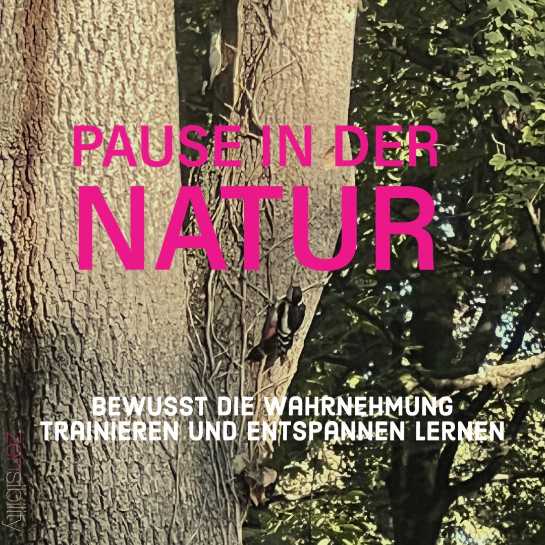 Heilsam-bewusstes wahrnehmen in der Natur