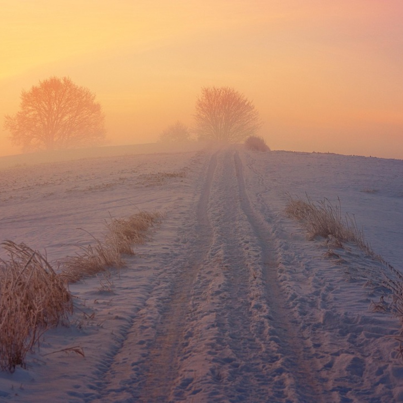 Adventkalender #3 Martina Kronberger-Vollnhofer