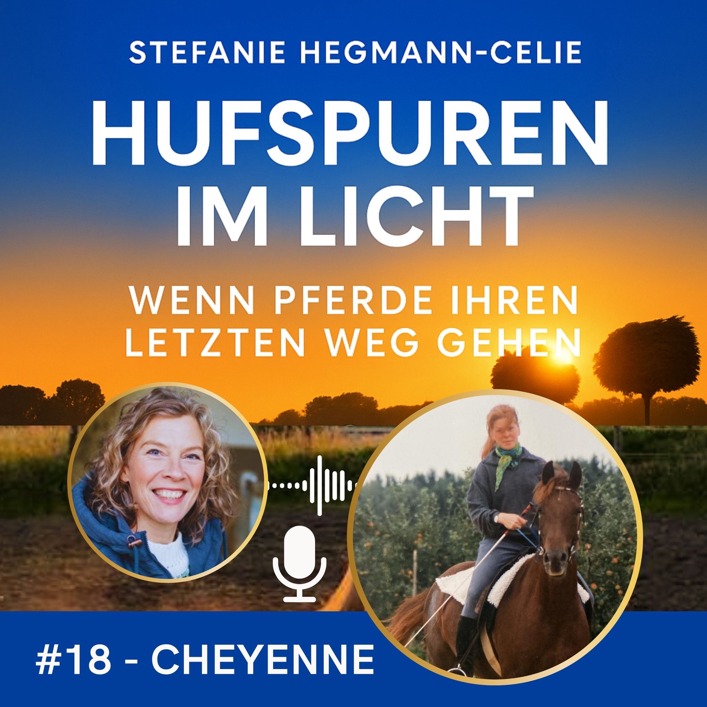#18 - Cheyenne: Das rote Fohlen