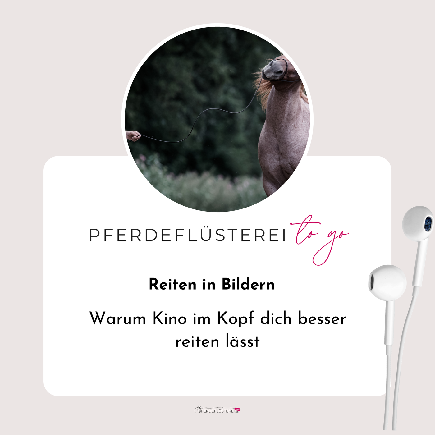 Reiten in Bildern: Warum Kino im Kopf dich besser reiten lässt