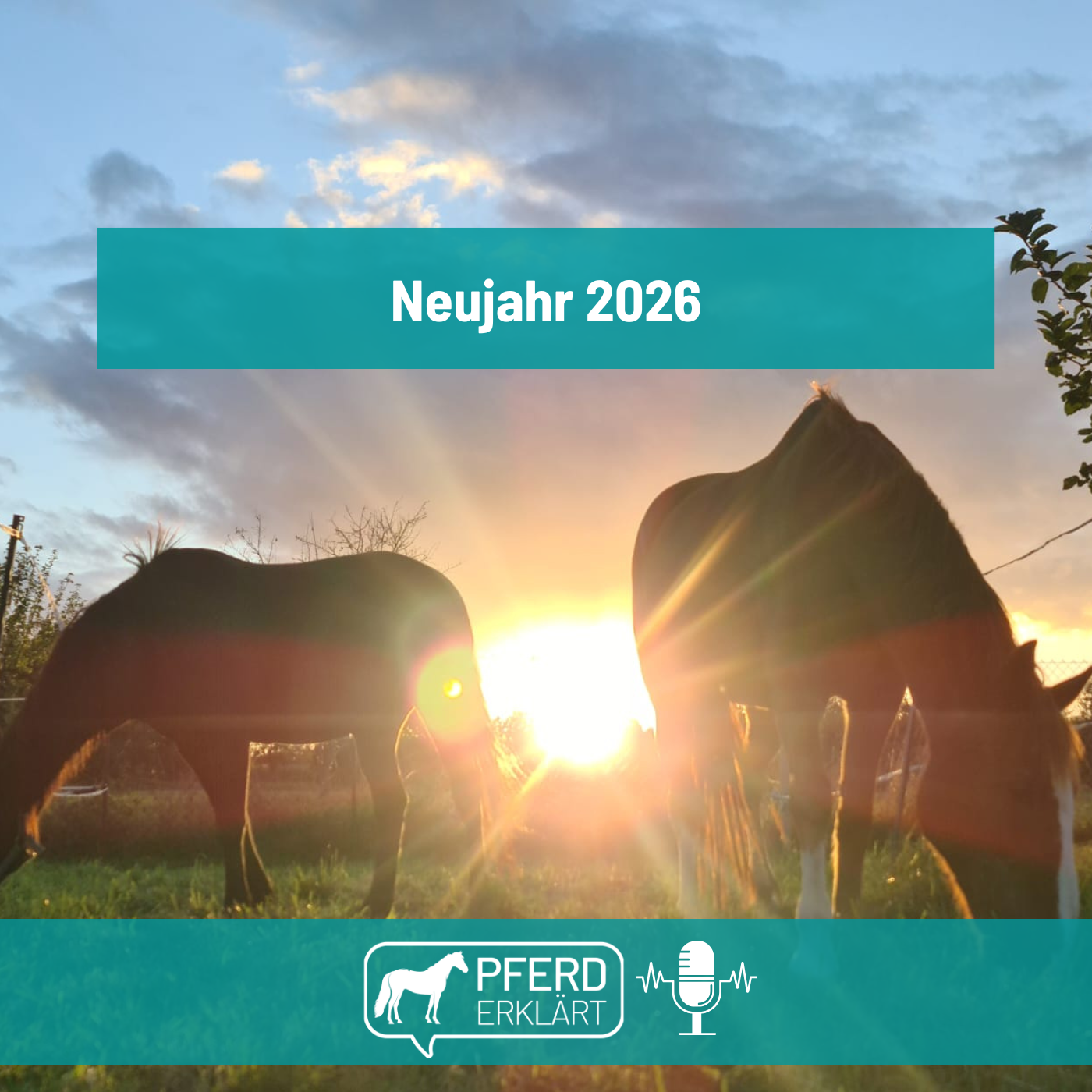 Neujahr 2026